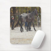 Ein neues Pferd Mousepad (Mit Mouse)