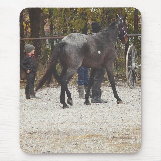 Ein neues Pferd Mousepad (Vorne)