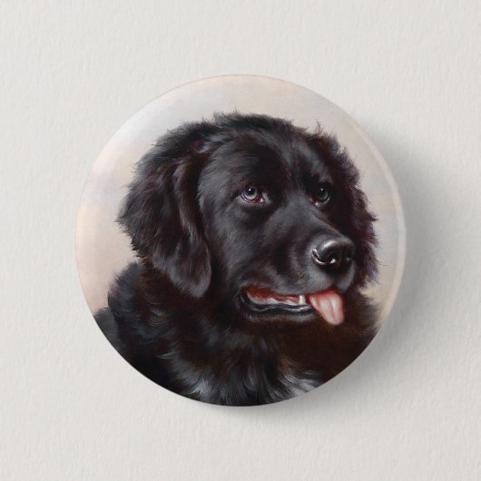 Ein Neufundländer-Knopf Button (Vorderseite)