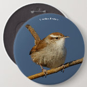 Ein neugieriger Bewick's Wren im Baum Button (Vorne & Hinten)