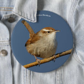 Ein neugieriger Bewick's Wren im Baum Button (Beispiel)