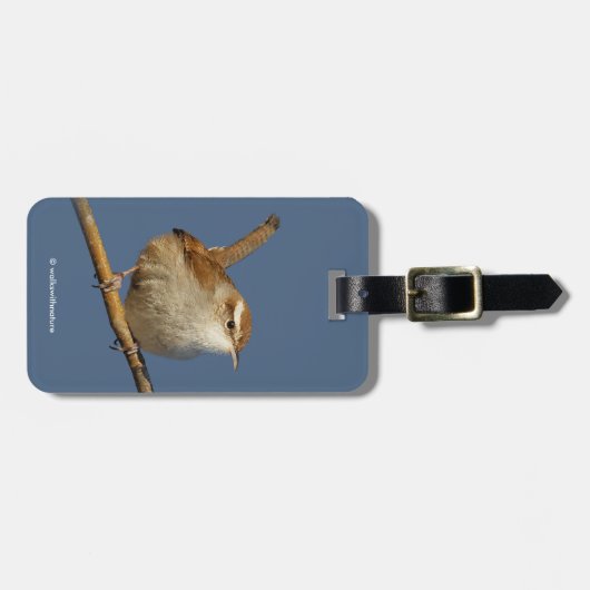 Ein neugieriger Bewick's Wren im Baum Gepäckanhänger (Vorderseite horizontal)