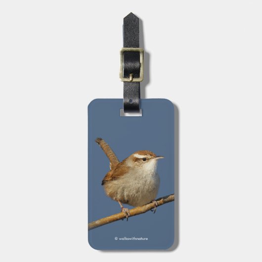 Ein neugieriger Bewick's Wren im Baum Gepäckanhänger (Vorderseite vertikal)