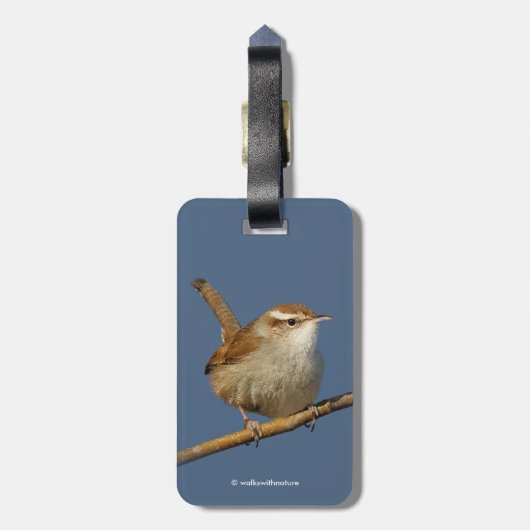 Ein neugieriger Bewick's Wren im Baum Gepäckanhänger (Rückseite vertikal)