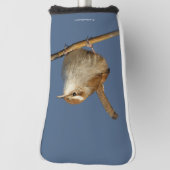 Ein neugieriger Bewick's Wren im Baum Golf Headcover (Rotieren 90)
