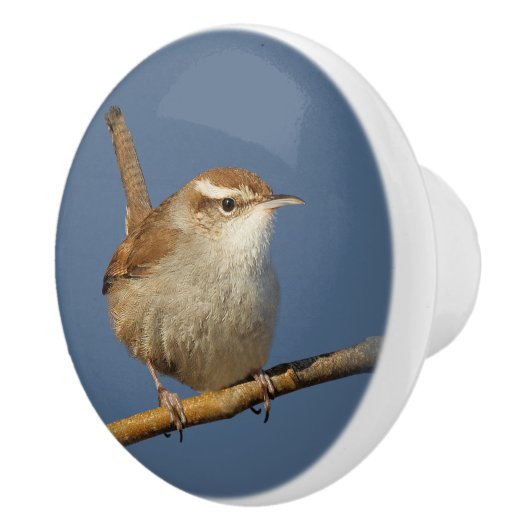 Ein neugieriger Bewick's Wren im Baum Keramikknauf (Rechts)