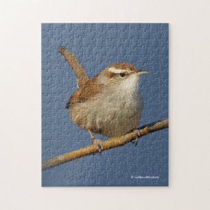 Ein neugieriger Bewick's Wren im Baum Puzzle