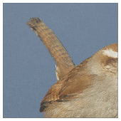 Ein neugieriger Bewick's Wren im Baum Stoff (Nahaufnahme)