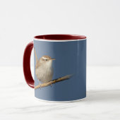 Ein neugieriger Bewick's Wren im Baum Tasse (Vorderseite Links)