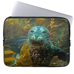 Ein neugieriger Hafen-Siegel-Kelp-Wald   Santa Laptopschutzhülle