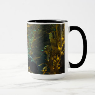 Ein neugieriger Hafen-Siegel-Kelp-Wald   Santa Tasse