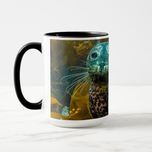 Ein neugieriger Hafen-Siegel-Kelp-Wald | Santa Tasse (Links)