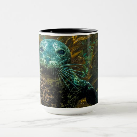 Ein neugieriger Hafen-Siegel-Kelp-Wald | Santa Tasse (Zentrum)