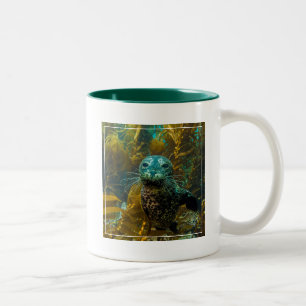 Ein neugieriger Hafen-Siegel-Kelp-Wald Santa Zweifarbige Tasse