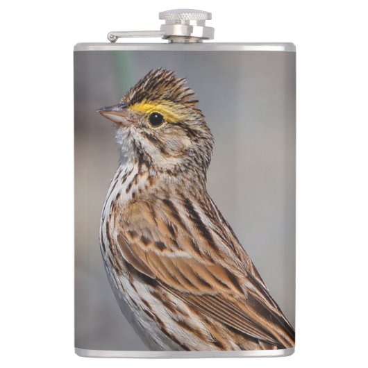 Ein neugieriger Savannah Sparrow Flachmann (Vorderseite)