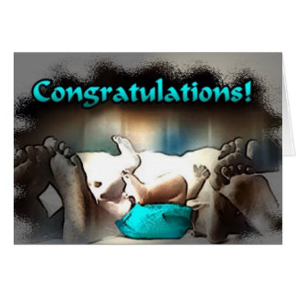 Ein Neuzugang in der Familie!