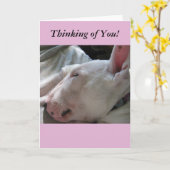 Ein Nickerchen in der Sonne Karte (Gelbe Blume)