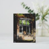 Ein Nickerchen in der Sonne Postkarte (Stehend Vorderseite)
