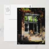 Ein Nickerchen in der Sonne Postkarte (Vorne/Hinten)