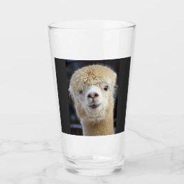 Ein niedlich flauschiges Alpaca-Gesicht Glas