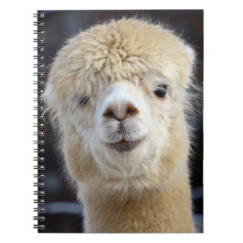 Ein niedlich flauschiges Alpaca-Gesicht Notizblock