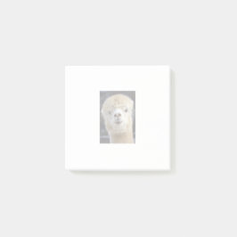 Ein niedlich flauschiges Alpaca-Gesicht Post-it Klebezettel