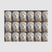 Ein niedlich flauschiges Alpaca-Gesicht Seidenpapier (Vorderseite)