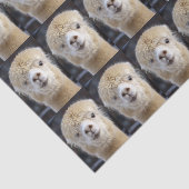 Ein niedlich flauschiges Alpaca-Gesicht Seidenpapier (Ausschnitt)