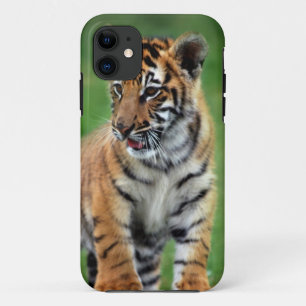 Ein niedlicher Babytiger Case-Mate iPhone Hülle