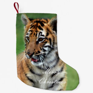 Ein niedlicher Babytiger Kleiner Weihnachtsstrumpf