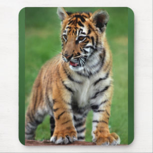 Ein niedlicher Babytiger Mousepad