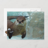 Ein niedlicher brauner Otter, der in einem klaren, Postkarte (Vorne/Hinten)