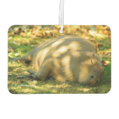 Ein Niedlicher Capybara-Traum im Sommer Autolufterfrischer (Rückseite)