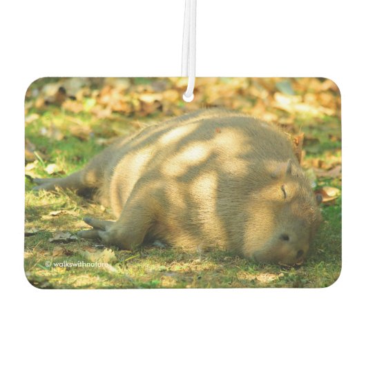 Ein Niedlicher Capybara-Traum im Sommer Autolufterfrischer (Rückseite)