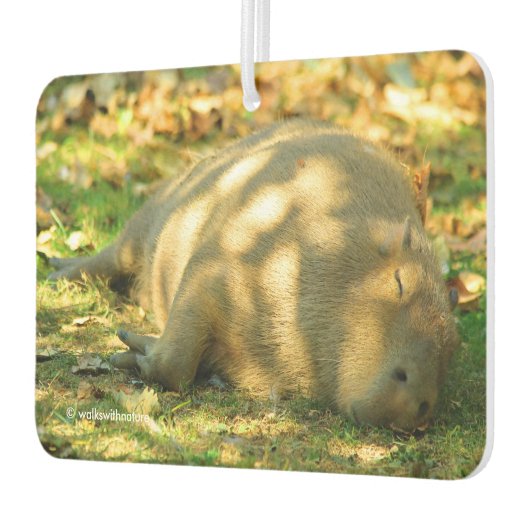 Ein Niedlicher Capybara-Traum im Sommer Autolufterfrischer (Links)