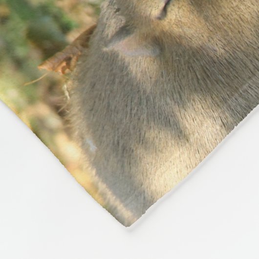 Ein Niedlicher Capybara-Traum im Sommer Fleecedecke (Ecke)