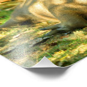 Ein Niedlicher Capybara-Traum im Sommer Fotodruck (Ecke)