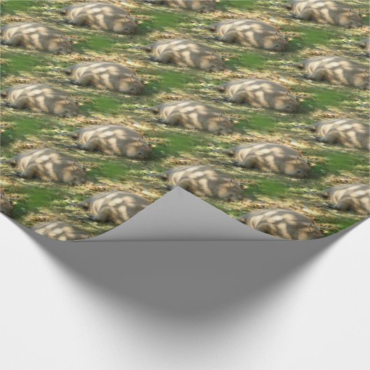 Ein Niedlicher Capybara-Traum im Sommer Geschenkpapier (Ecke)
