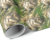 Ein Niedlicher Capybara-Traum im Sommer Geschenkpapier (Rolleneckpunkt)