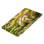 Ein Niedlicher Capybara-Traum im Sommer Magnet (Linke Seite)