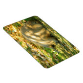 Ein Niedlicher Capybara-Traum im Sommer Magnet (Rechte Seite)