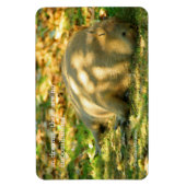 Ein Niedlicher Capybara-Traum im Sommer Magnet (Vertikal)