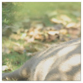 Ein Niedlicher Capybara-Traum im Sommer Stoff (Nahaufnahme)