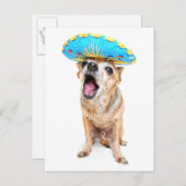 Ein Niedlicher Chihuahua in einem Halloweenkostüm Postkarte (Vorne/Hinten)