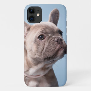 Ein Niedlicher französischer Bulldog Case-Mate iPhone Hülle