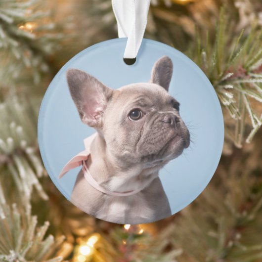 Ein Niedlicher französischer Bulldog Ornament (Baum)