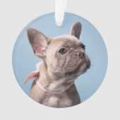 Ein Niedlicher französischer Bulldog Ornament (Vorderseite)