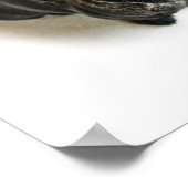 Ein Niedlicher französischer Bulldogist Poster (Ecke)