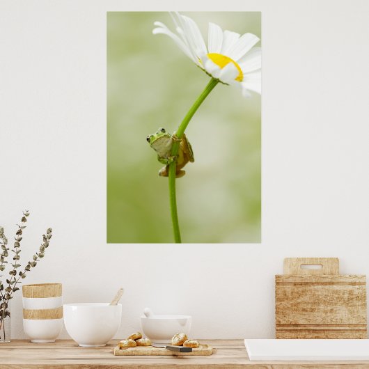 Ein Niedlicher Frosch Poster (Küche)