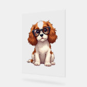 Ein niedlicher Hund König Charles Spaniel Acrylschild (Winkel)
